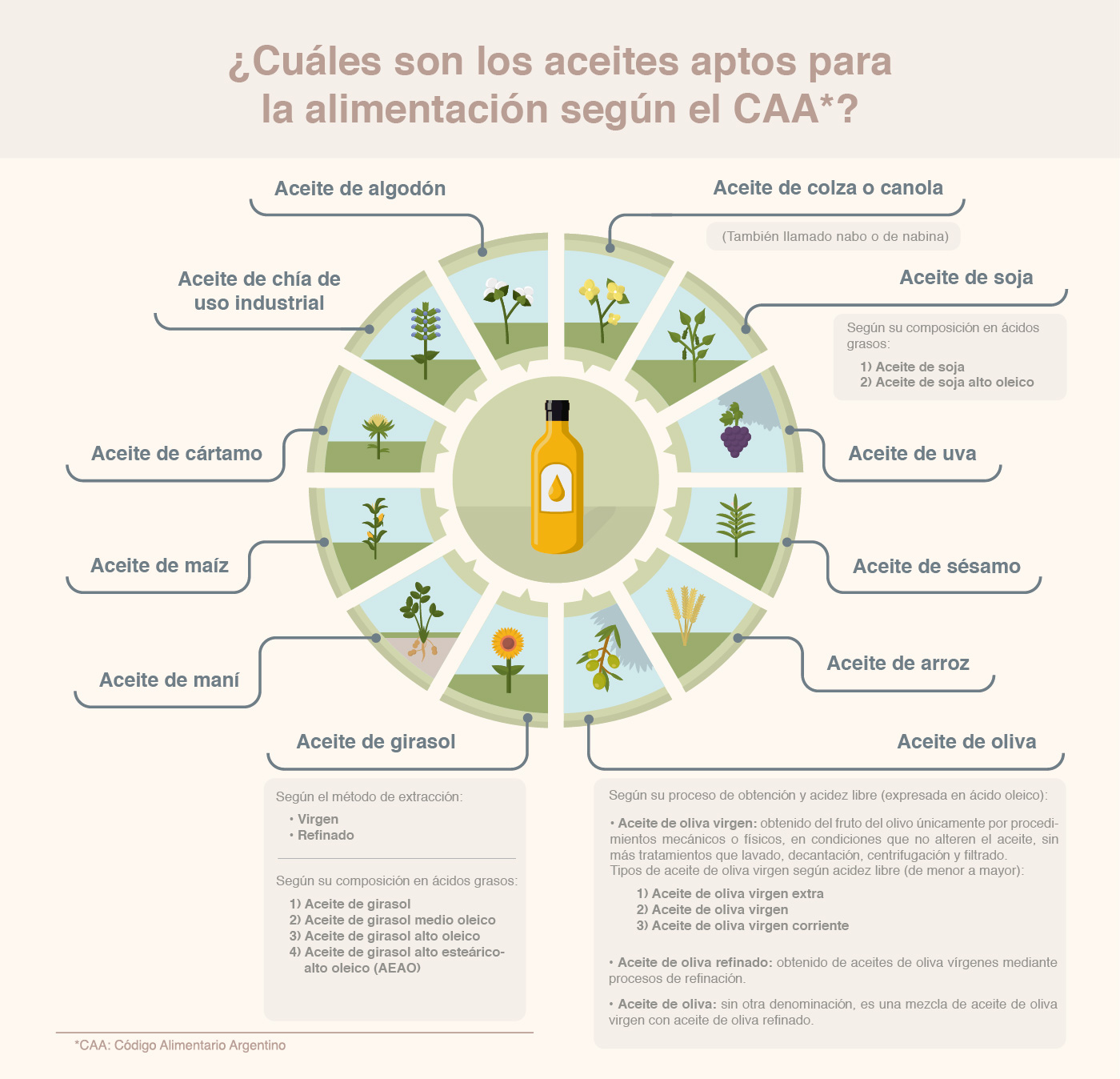 aceites Infografia aceites